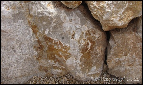 ChertNodules_In_Kaibab Limestone ChertNodules_In_Kaibab Limestone