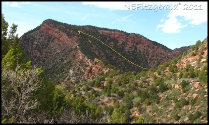 012ThrustFault_ Springdale Sandstone 012ThrustFault_ Springdale Sandstone