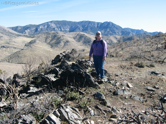 [BeaverDamMts Amphibolite OutcropSpring 2006[12].jpg]