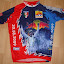 Finishertrikot