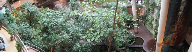 [PB2702476.jpg]