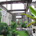 Lacson_mansion_ruins19.jpg