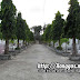 cabatuan_cemetery_30.jpg