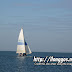 paraw_regatta_main_event10.jpg