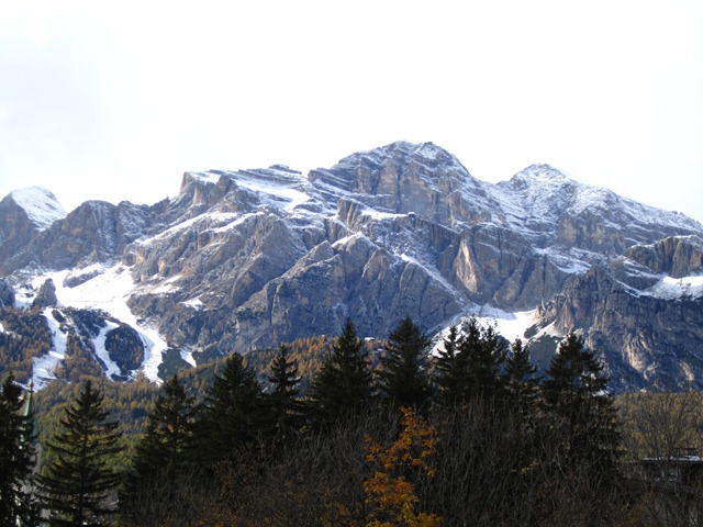 [IMG_17352.jpg]