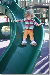 IMG_6755 IMG_6755