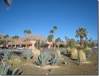 IMG_6468 IMG_6468