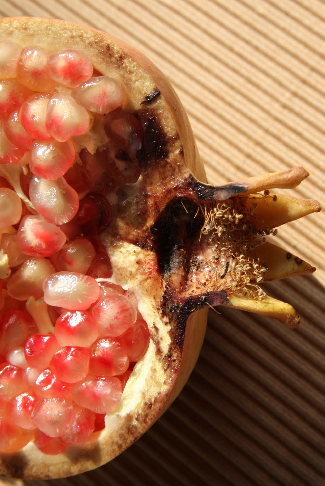 [rosso aranc-13[5].jpg]