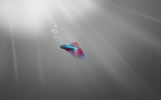 windows 7 beta fish