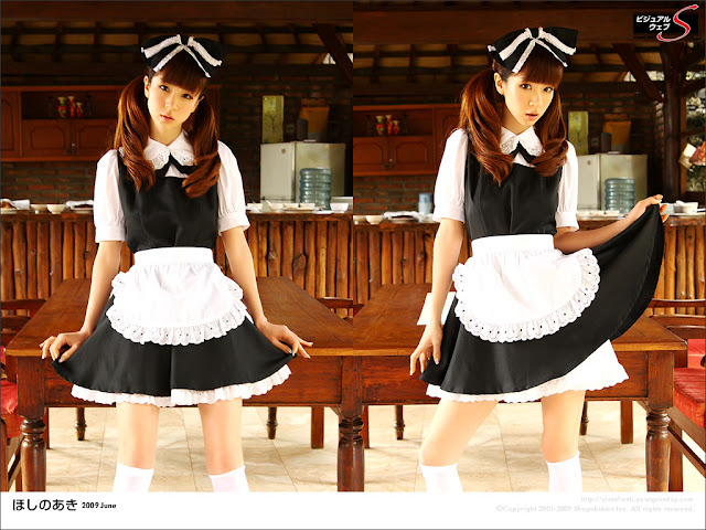 Aki Hoshino japanese models.jpg