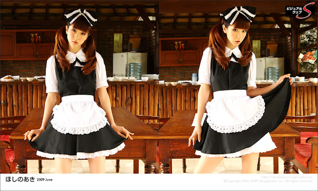 Aki Hoshino japanese models.jpg