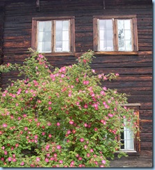 midsommar1