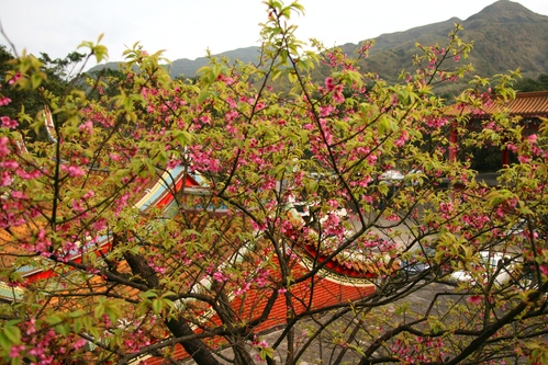 【九份老街】-九份山城美景