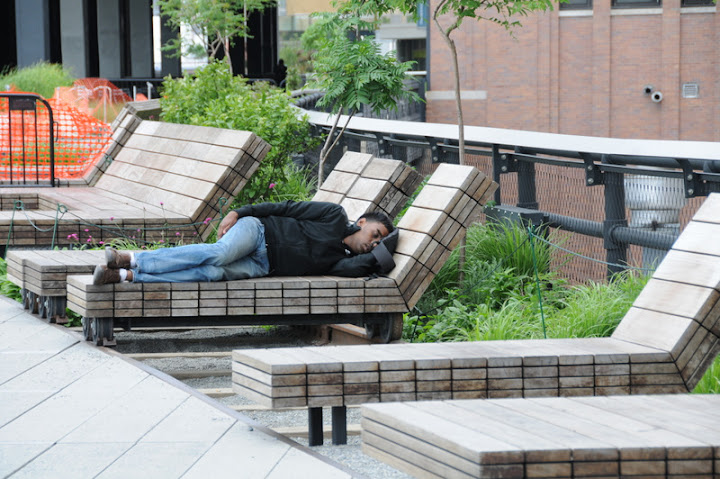 Америка 2010. Часть 4. Парки