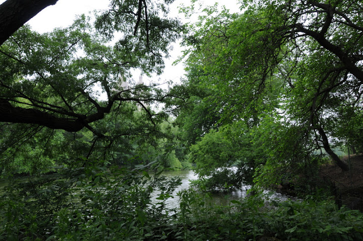 Америка 2010. Часть 4. Парки