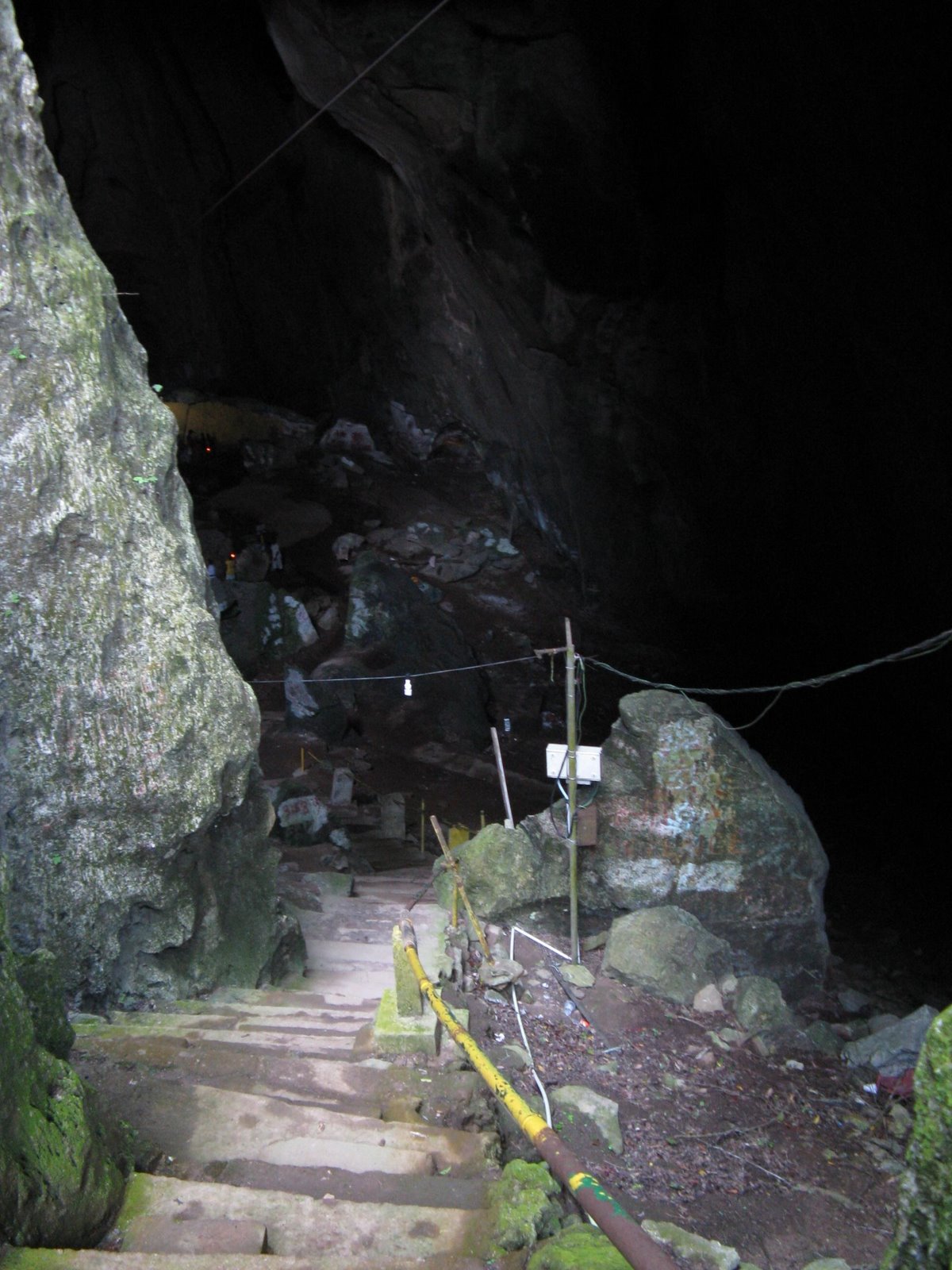 [IMG_0206.JPG]