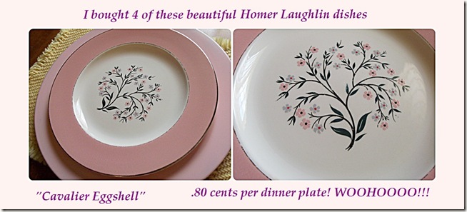 HL PLATEs