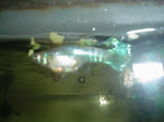 dsc00610.jpg