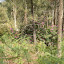P5150629.JPG