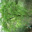 DSCN5672.JPG