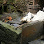 DSCN5647.JPG