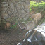 DSCN5696.JPG