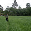 P4180131.JPG