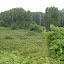 DSCN5355.JPG