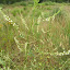 DSCN5357.JPG