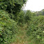 P7110124.JPG