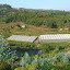DSCN5501.JPG