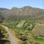 DSC06327.JPG