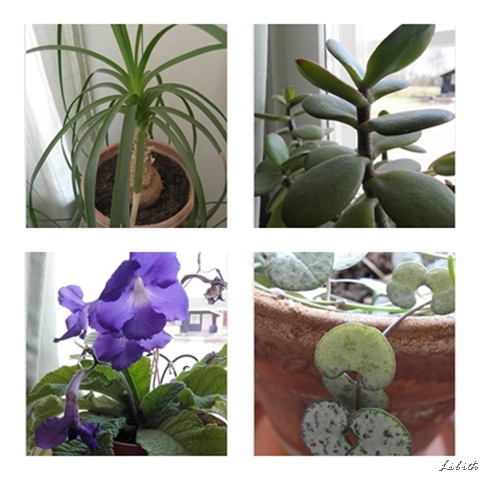 Blomkollage Blomkollage