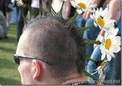 Hair - Flower Power
