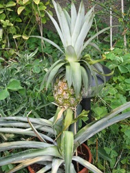 2009-09-12_0365