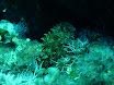 P1030510.JPG