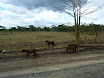 P1050805.JPG