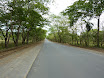 P1050810.JPG