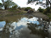 P1050873.JPG