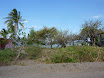 P1050879.JPG