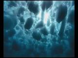 Imagen de Deep blue
