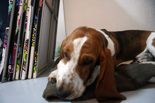 Add fuel to the fire