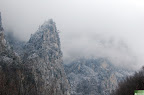 DSC_6697.JPG