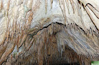DSC_7139.JPG