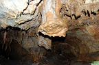 DSC_7146.JPG