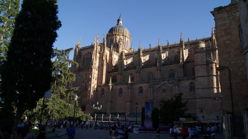 ¿Catedral?