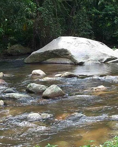 [Choroni[10].jpg]