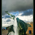 Jersey-079.jpg, Jersey