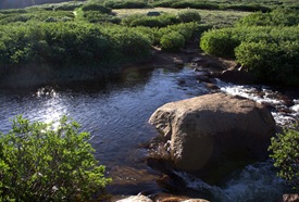 Gomer Creek