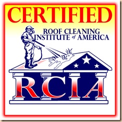 Roof Cleaning